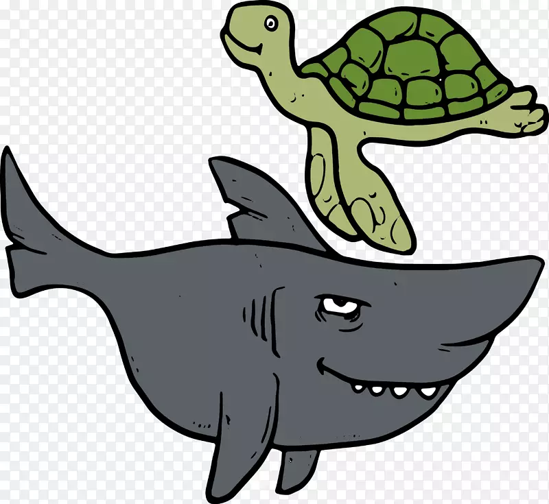 海龟和鲨鱼