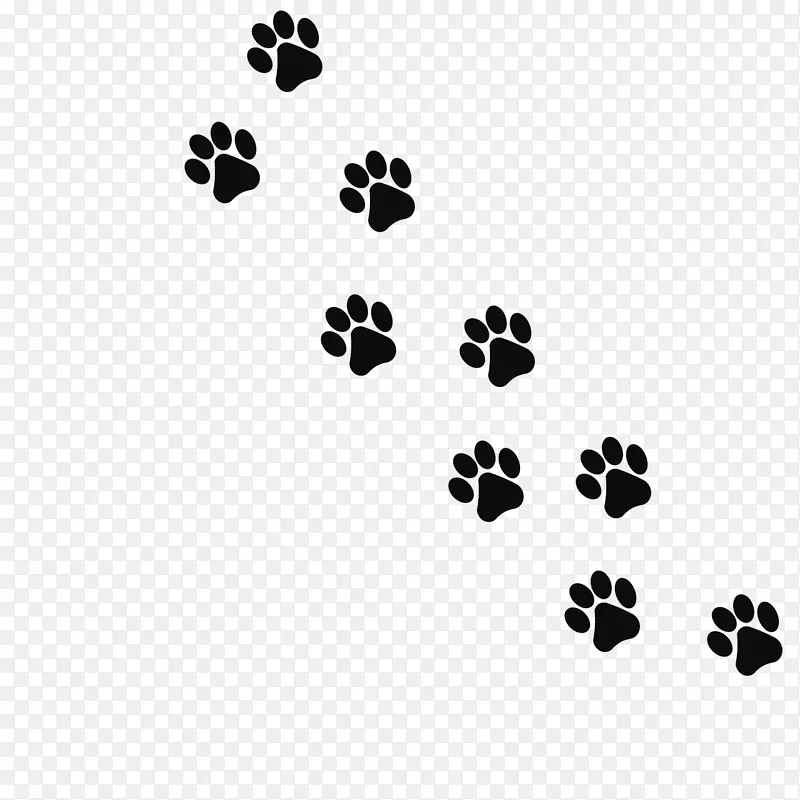 猫狗猫脚印爪黑动物脚印
