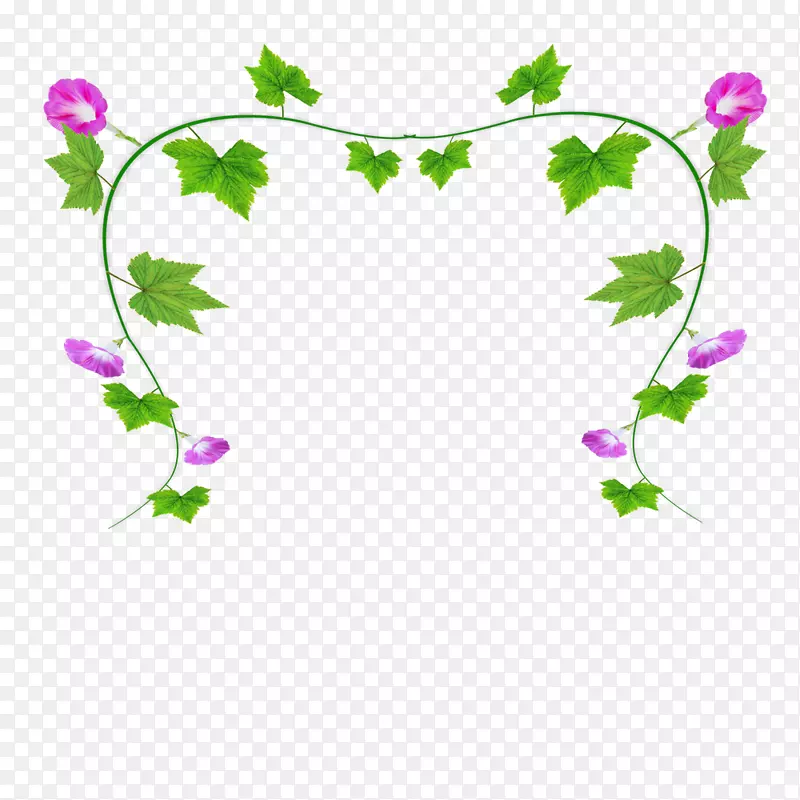 菊花剪贴画-绿叶上的小号