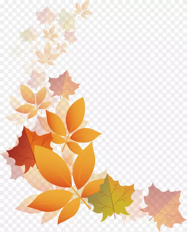 秋天的透明度和半透明-半透明的秋叶