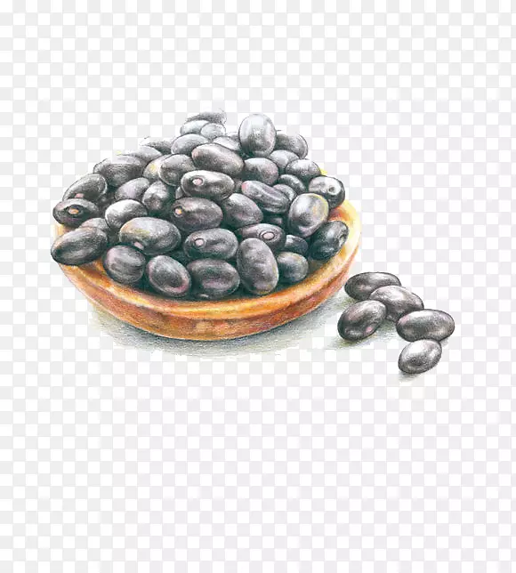 蓝莓插图-黑豆
