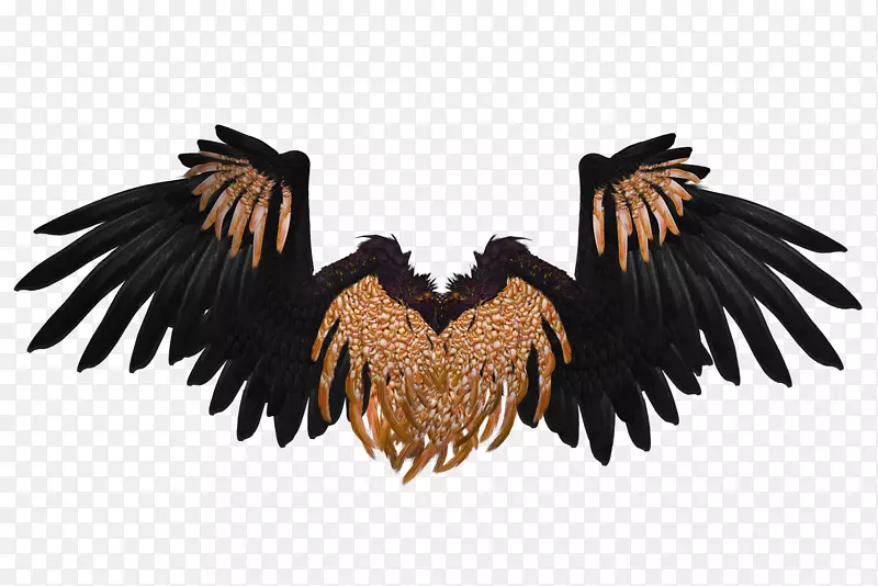 天使翼三维电脑图形剪辑艺术-大金色魔鬼翅膀
