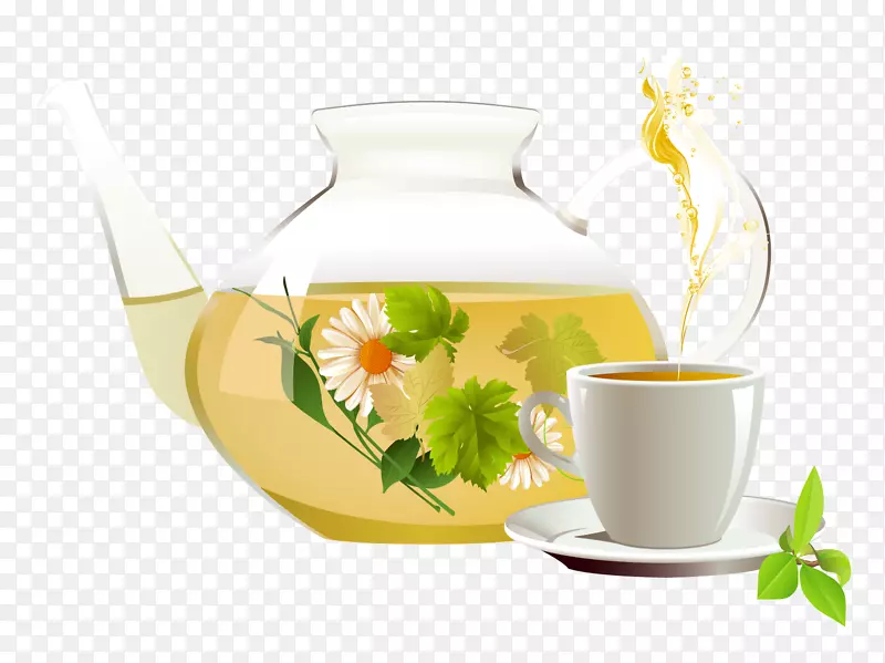 绿茶、菊花茶、白茶、草本茶.载体茶