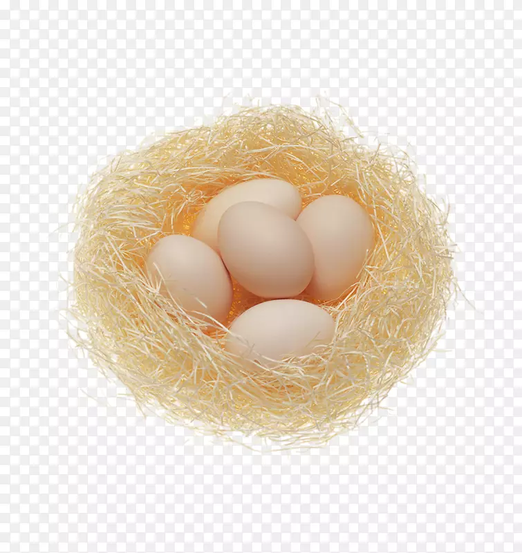 早餐鸡蛋营养健康-窝蛋