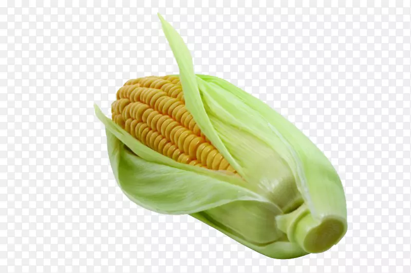 玉米在玉米芯上的蔬菜玉米纳帕卷心菜-玉米