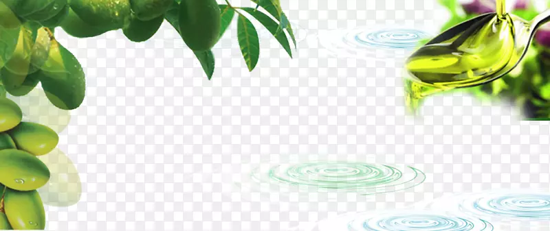 橄榄树图案设计海报-橄榄化妆品海报