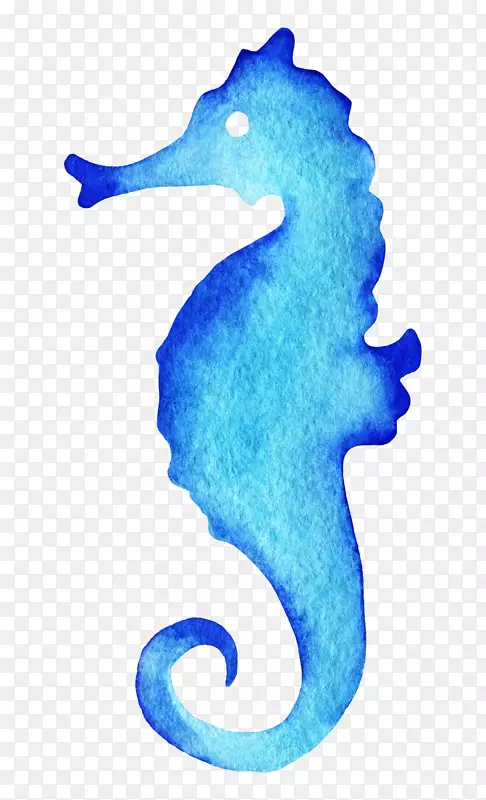 海马水彩画-海星