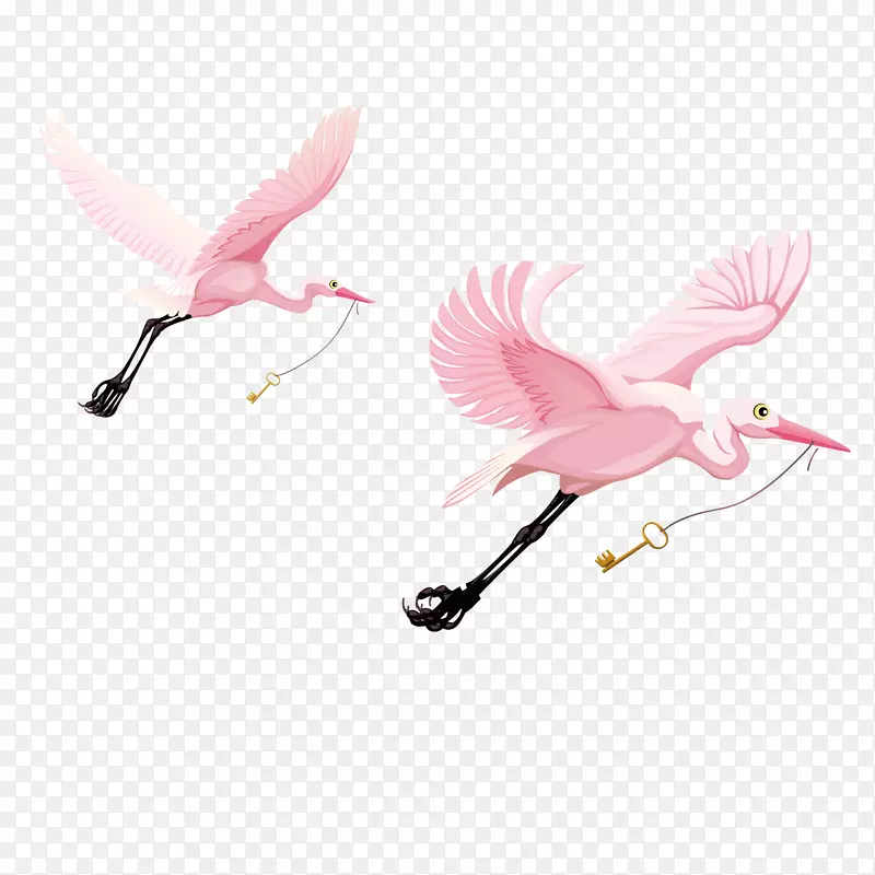 水鸟茜尼尼翅膀-粉红天鹅