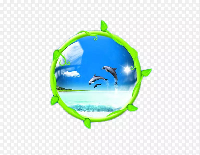 插图-框架海豚