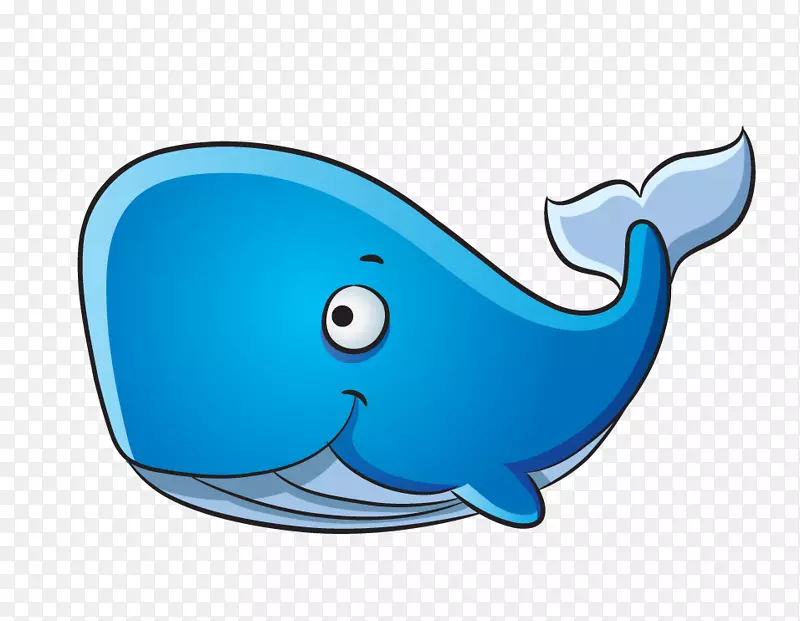 海豚蓝鲸画座头鲸