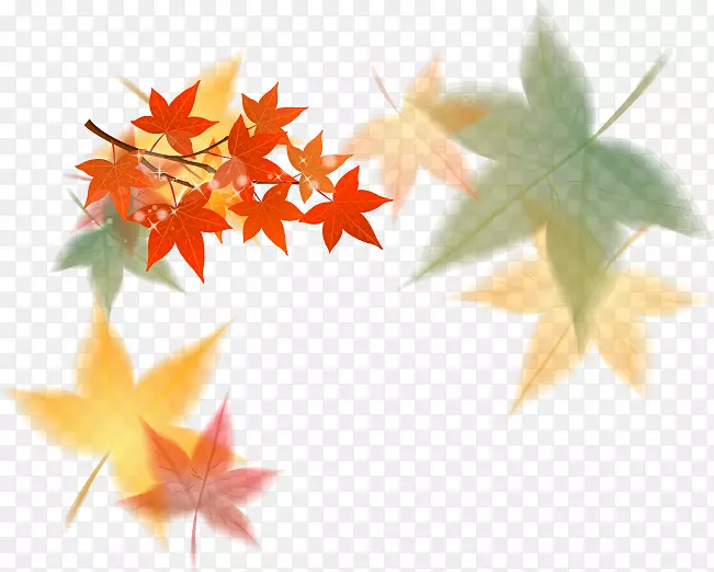 枫叶-现代秋叶背景材料自由挖掘