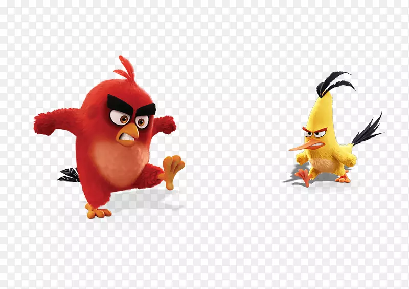 愤怒动画-愤怒的小鸡