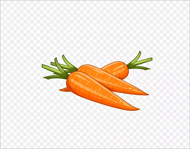 胡萝卜绘画免版税插图手绘胡萝卜
