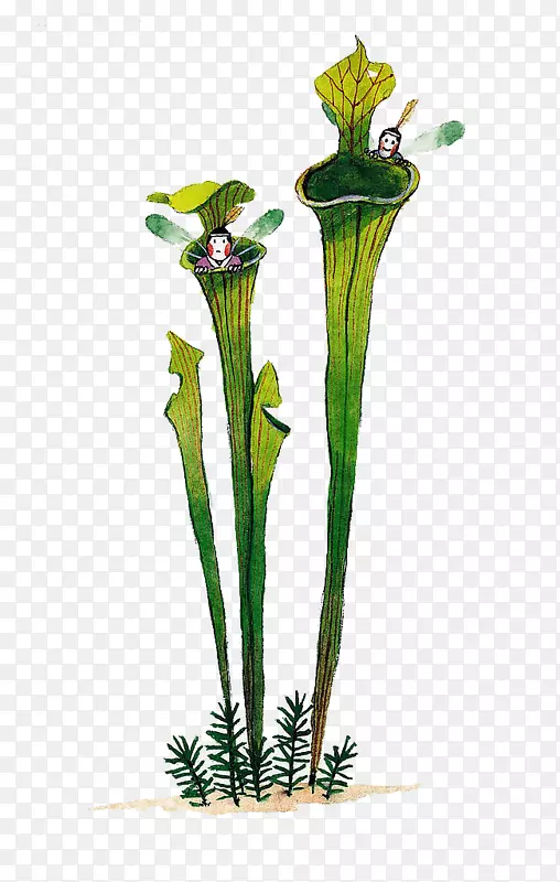 花卉设计植物水彩画-卡通可爱蜻蜓精灵植物
