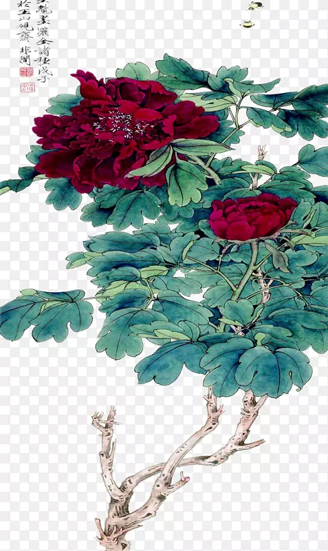 花园玫瑰、蜈蚣玫瑰、花卉设计、切花-牡丹