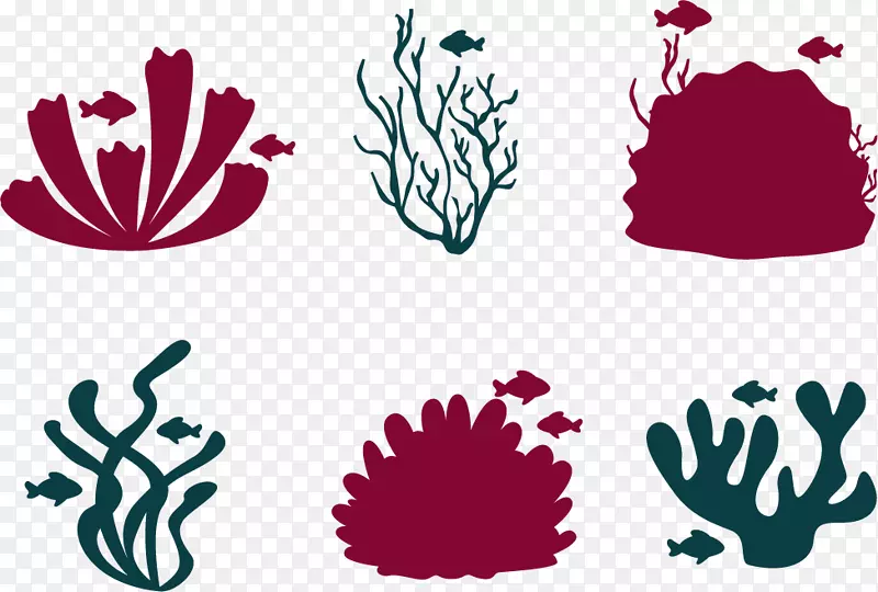 珊瑚礁鱼-海洋世界
