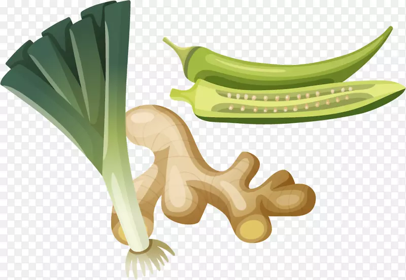 蔬菜食品秋葵插图.PNG洋葱辣椒载体材料