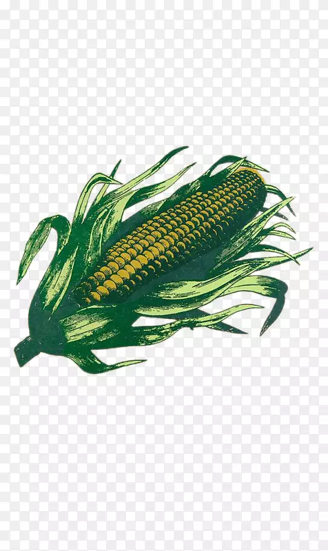 纳奇托纸农市场海报-玉米