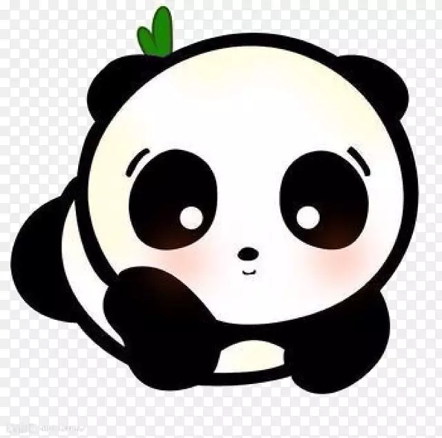 大熊猫可爱熊猫国际象棋大师安卓-小红熊猫