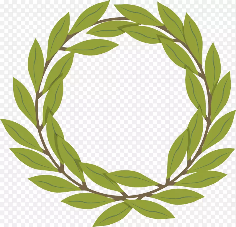 橄榄枝-橄榄枝装饰