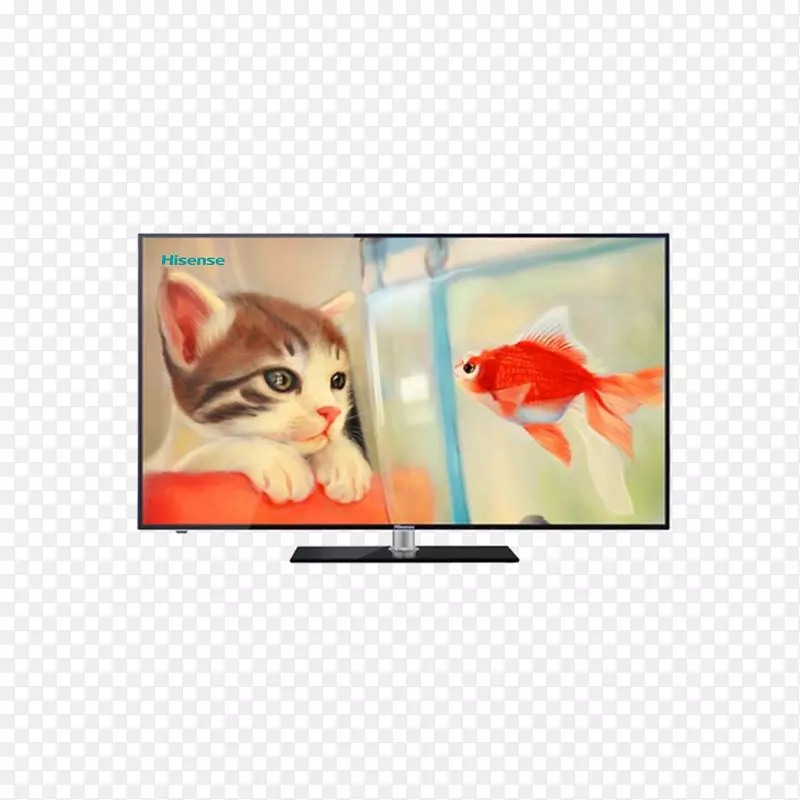 猫科金鱼画-海信电视