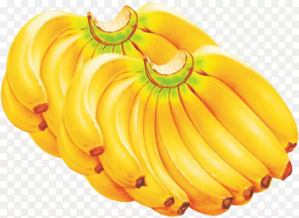香蕉面包卡文迪什香蕉烹饪香蕉水果香蕉