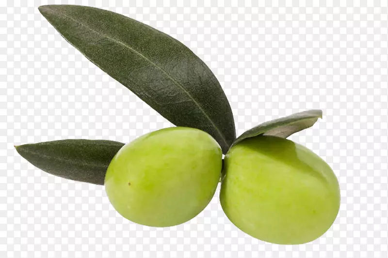 橄榄油水果-两种橄榄