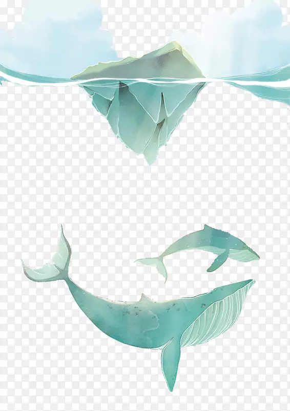 鲨鱼剪贴画-画冰山鲨鱼