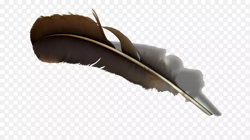羽毛Turbosquid三维计算机图形-浅棕羽毛