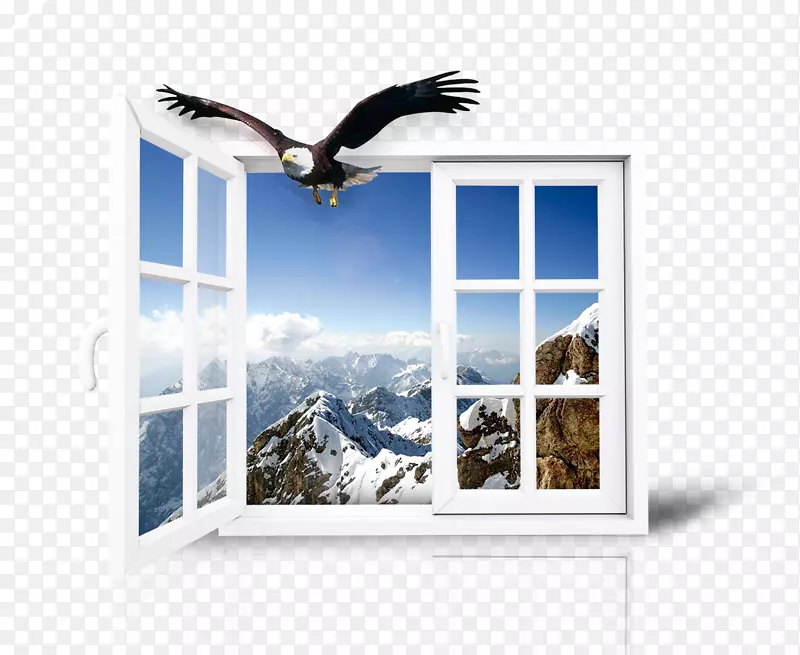 窗口广告-鹰和窗