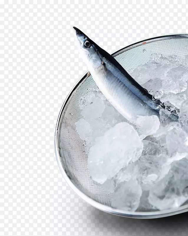 海产海水冷冻鱼