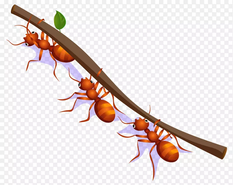 蚂蚁画-卡通画红蚂蚁移动树枝