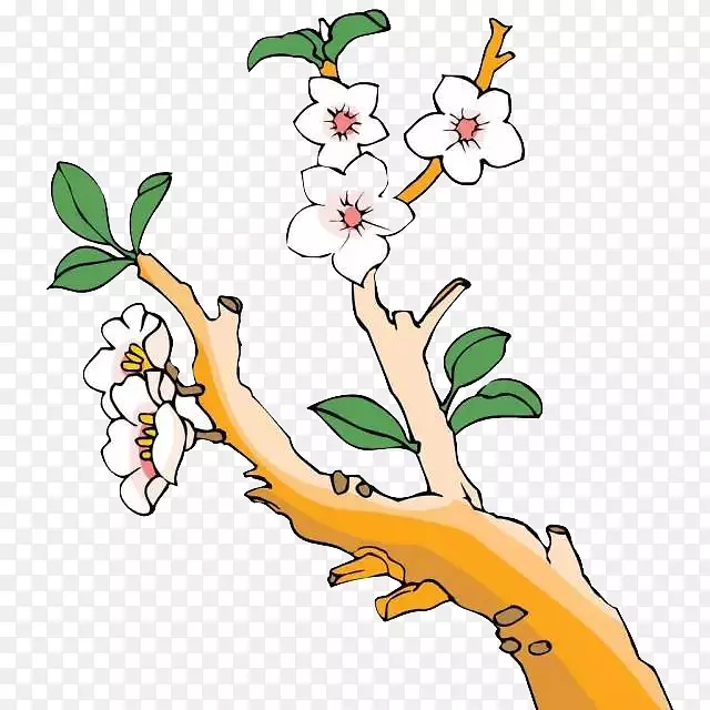开花梨树插图-梨花设计