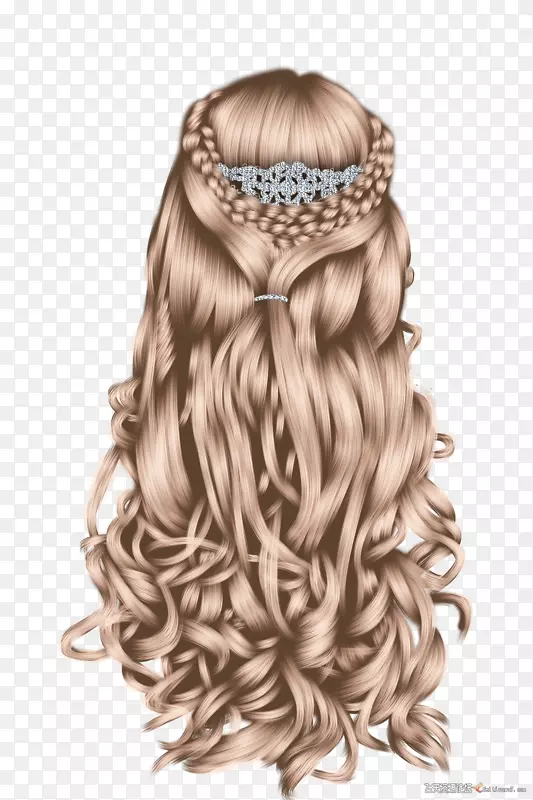 发型，辫子，金发-公主编织的头发