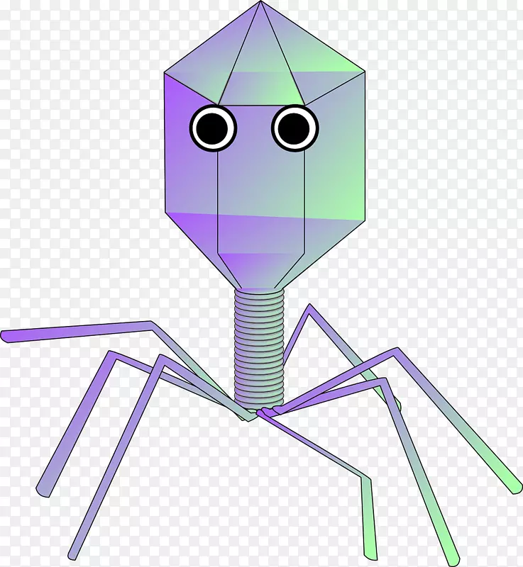 病毒噬菌体病毒载体剪贴术多边形机器人