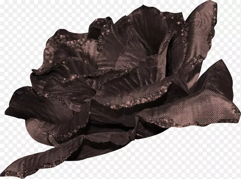 花束-黑布卷心菜