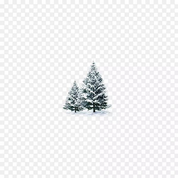 圣诞圣诞树-雪松