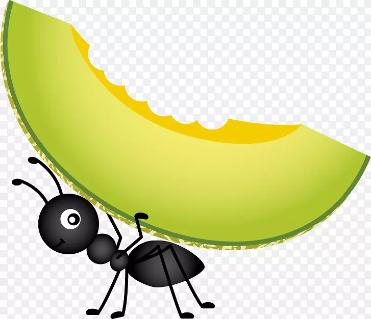 食品野餐存货摄影剪贴画蚂蚁和哈密瓜