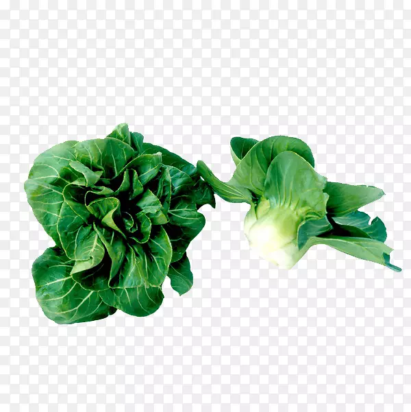 豆芽蔬菜绿豆芽食品白菜卷心菜图片材料