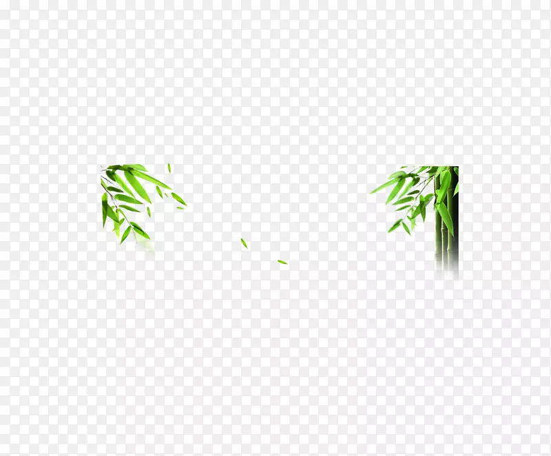 绿叶面积格局-竹子