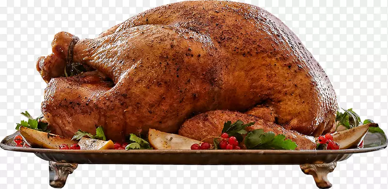 火鸡肉感恩节晚餐烹饪-鸡肉和火鸡