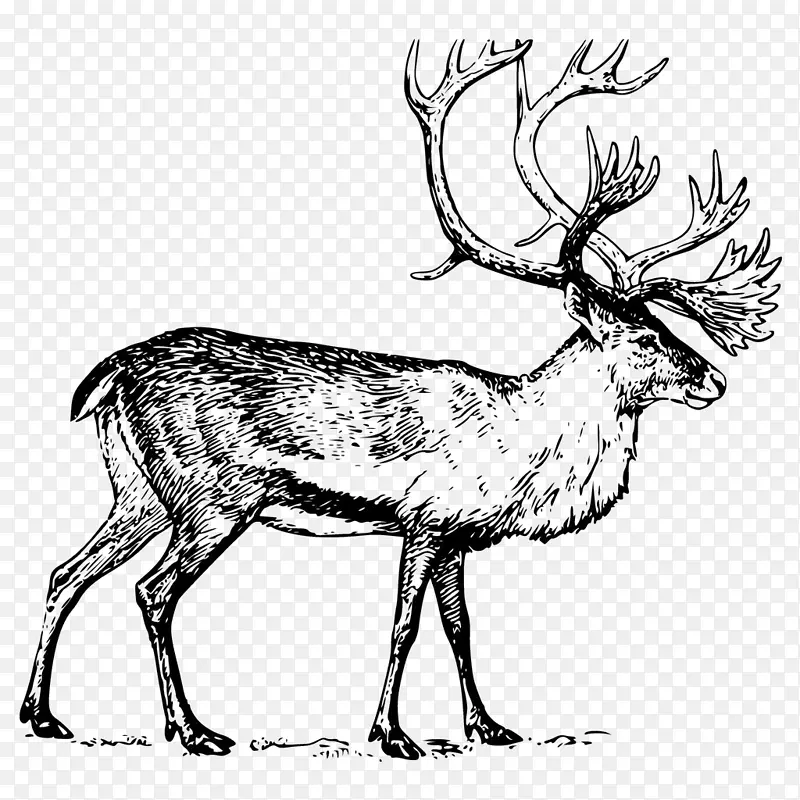 鹿北林地驯鹿画夹艺术手绘大角鹿材质
