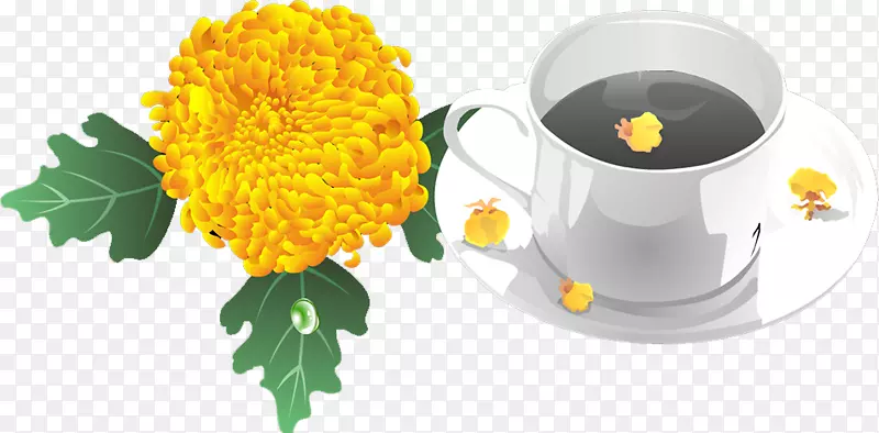 绿茶咖啡杯-菊花