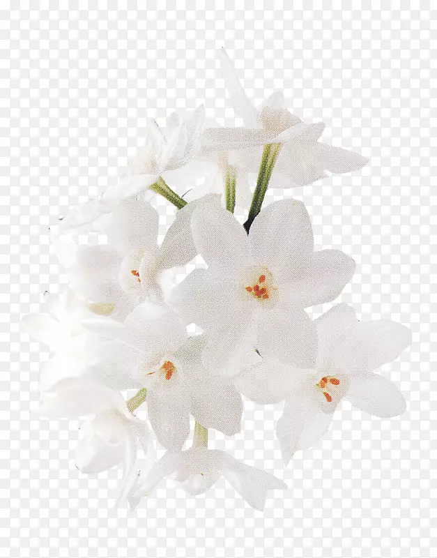 花卉设计-白色花束-花束材料，白色花朵