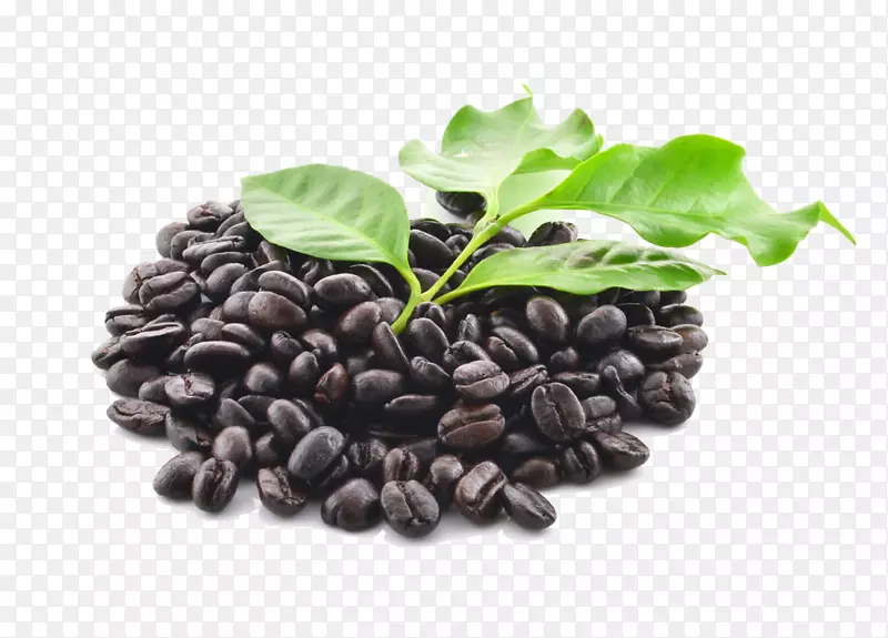 咖啡豆星巴克配料-咖啡豆