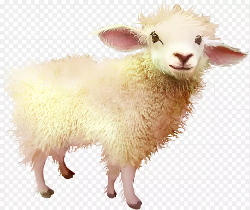 羊下载-山羊PNG免费下载