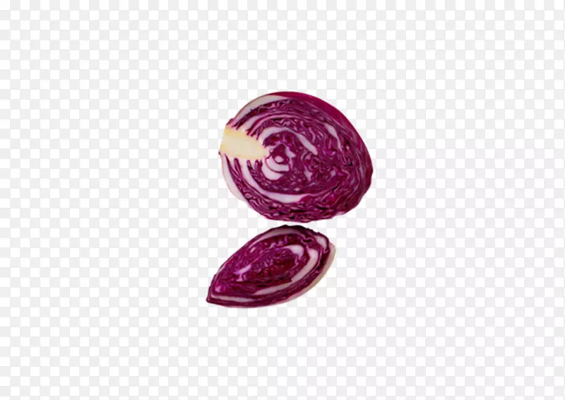 全食紫色圆图案手绘卷心菜