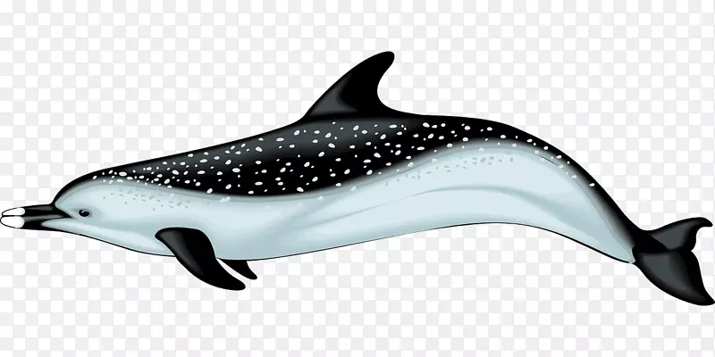 海豚剪贴画-游泳海豚