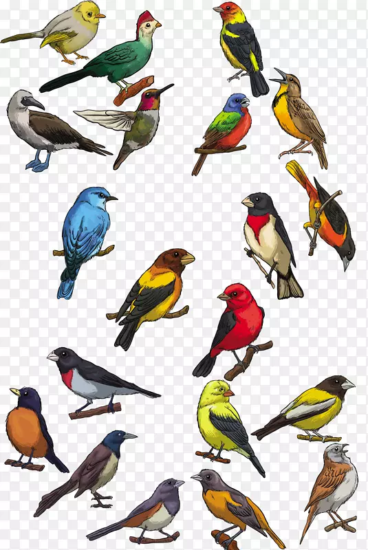 鸟嘴燕子-水彩画鸟形装饰品