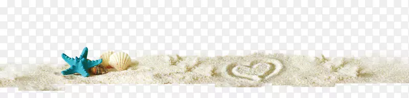 纸身穿孔珠宝品牌字体-沙滩上的海星壳